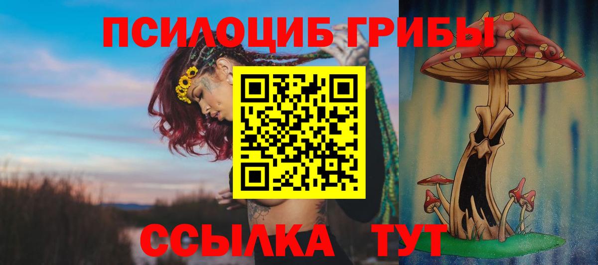 Псилоцибиновые грибы прущие грибы Камышлов