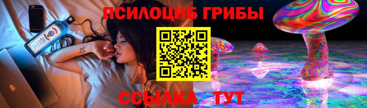 Псилоцибиновые грибы мухоморы  Вход с VPN  Камышлов  Псилоцибиновые грибы GOLDEN TEACHER 